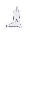 앞팬더(좌)