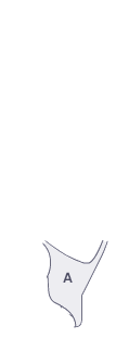 쿼터패널(좌)