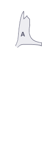 앞펜더(우)