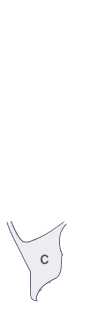 쿼터패널(우)