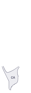 쿼터패널(우)
