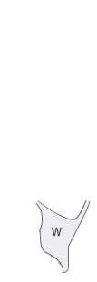 쿼터패널(좌)