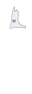 앞펜더(우)