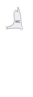 앞팬더(좌)