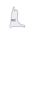 앞펜더(우)