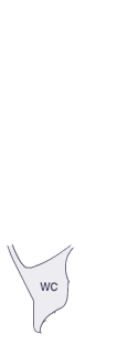 쿼터패널(우)