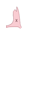 앞팬더(좌)