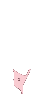 쿼터패널(좌)
