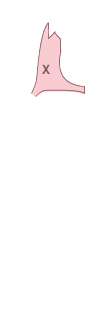 앞펜더(우)