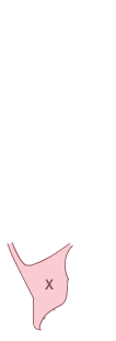 쿼터패널(우)