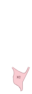 쿼터패널(좌)