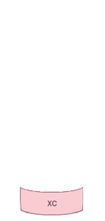 트렁크