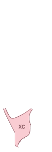 쿼터패널(우)
