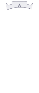 본네트