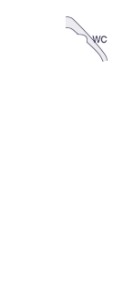 A필러(좌)