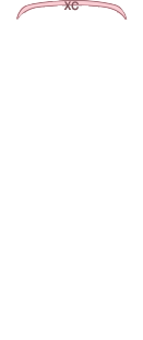 앞범퍼