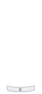 트렁크