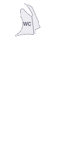 앞팬더(좌)