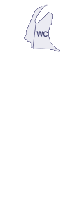 앞펜더(우)