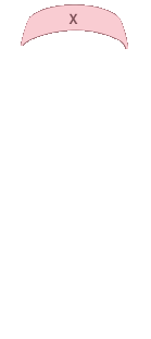 본네트