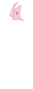 앞펜더(우)