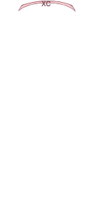 앞범퍼