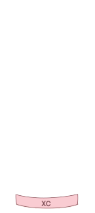트렁크