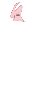 앞펜더(우)
