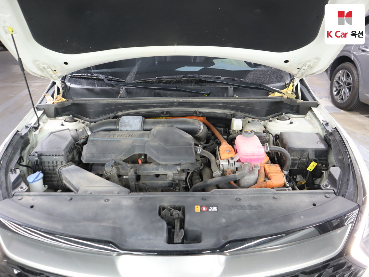 كيا - سبورتاج - Image 32