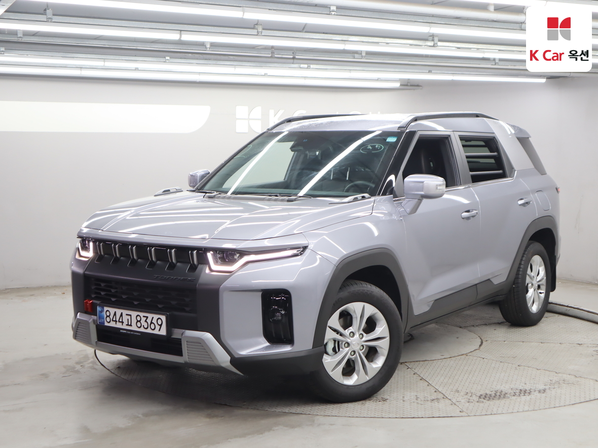 سانغ يونغ - توريس