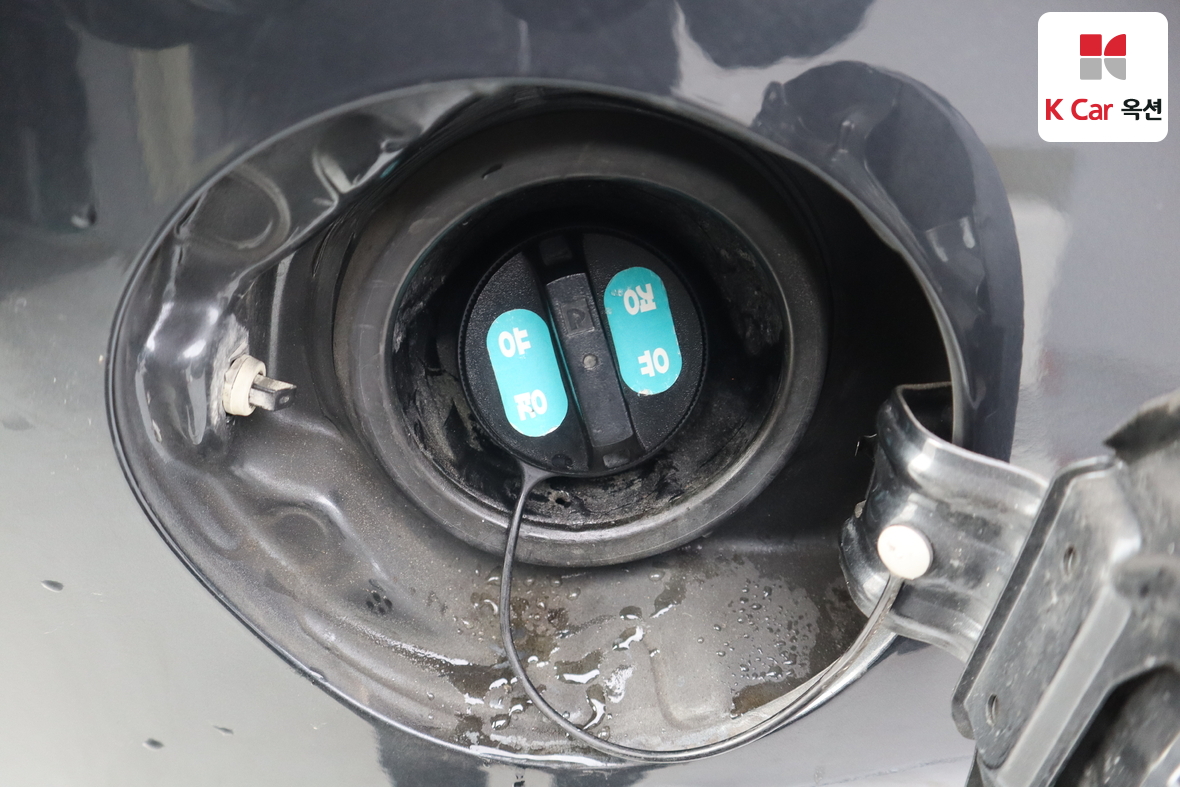 Renault Korea QM5 2012 - Image 24