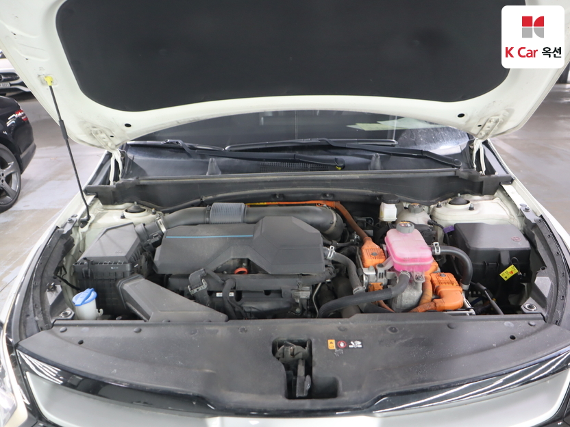 كيا - ليف - Image 34