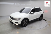 VOLKSWAGEN 티구안