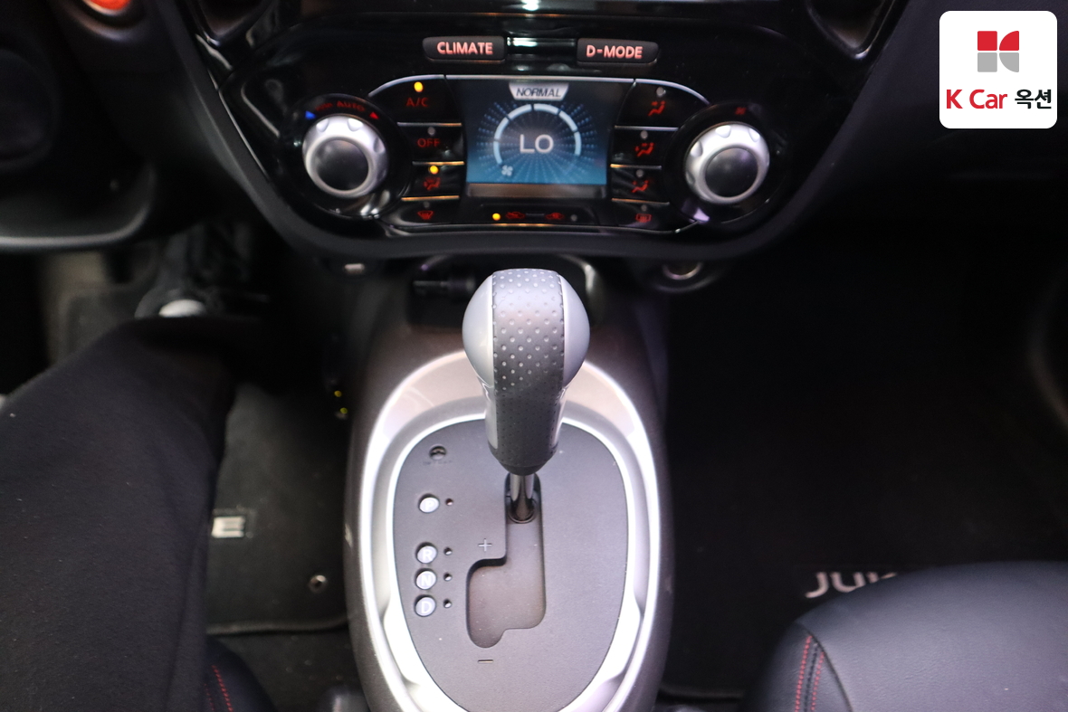 NISSAN 쥬크 - 16