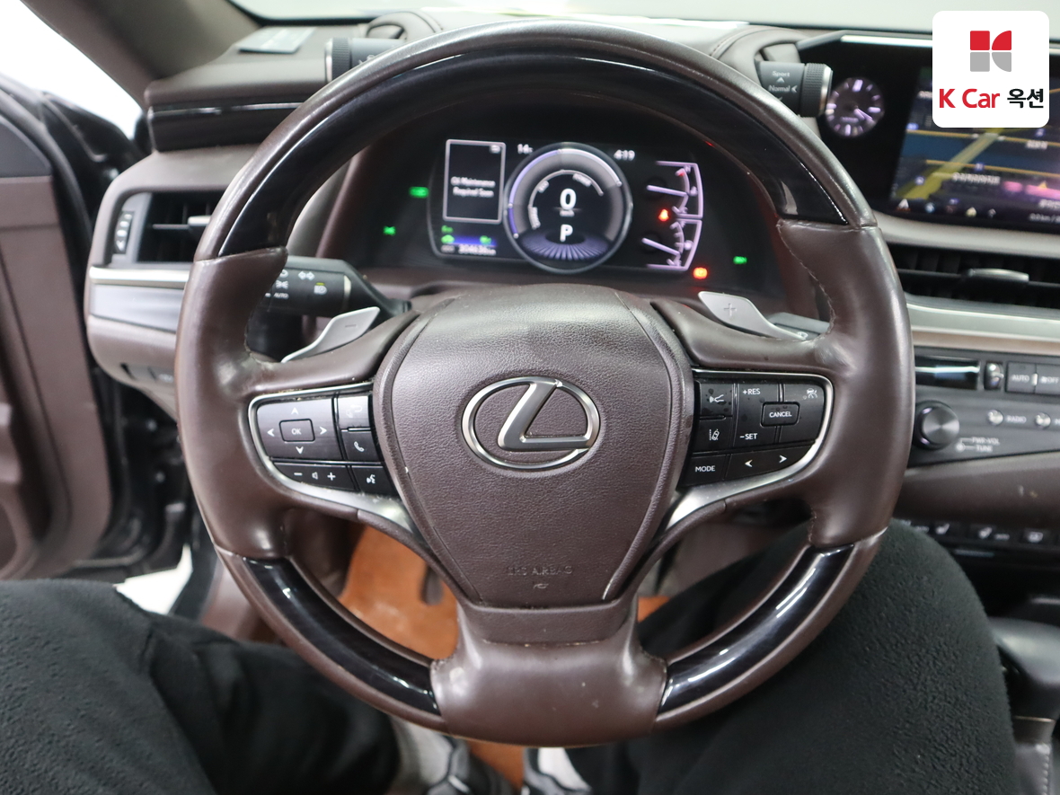 Lexus Other - 10