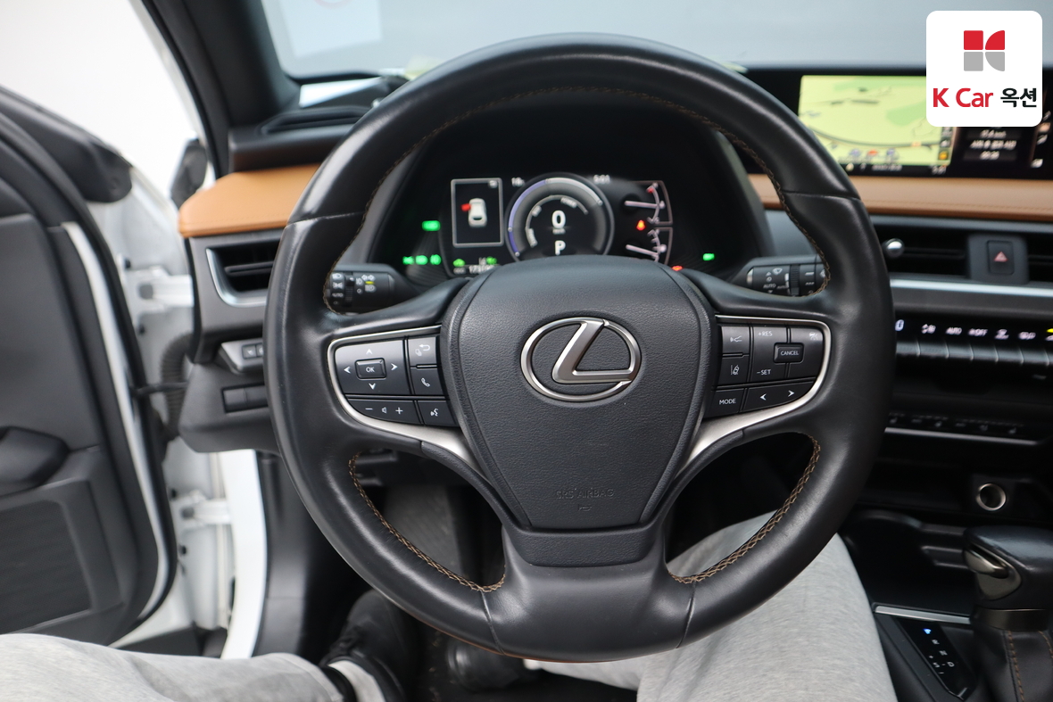 Lexus Other - 10