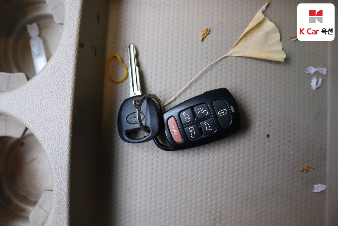 Kia Carnival - 17