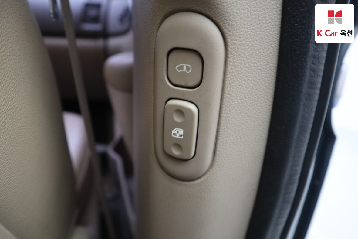 Kia Carnival - 31