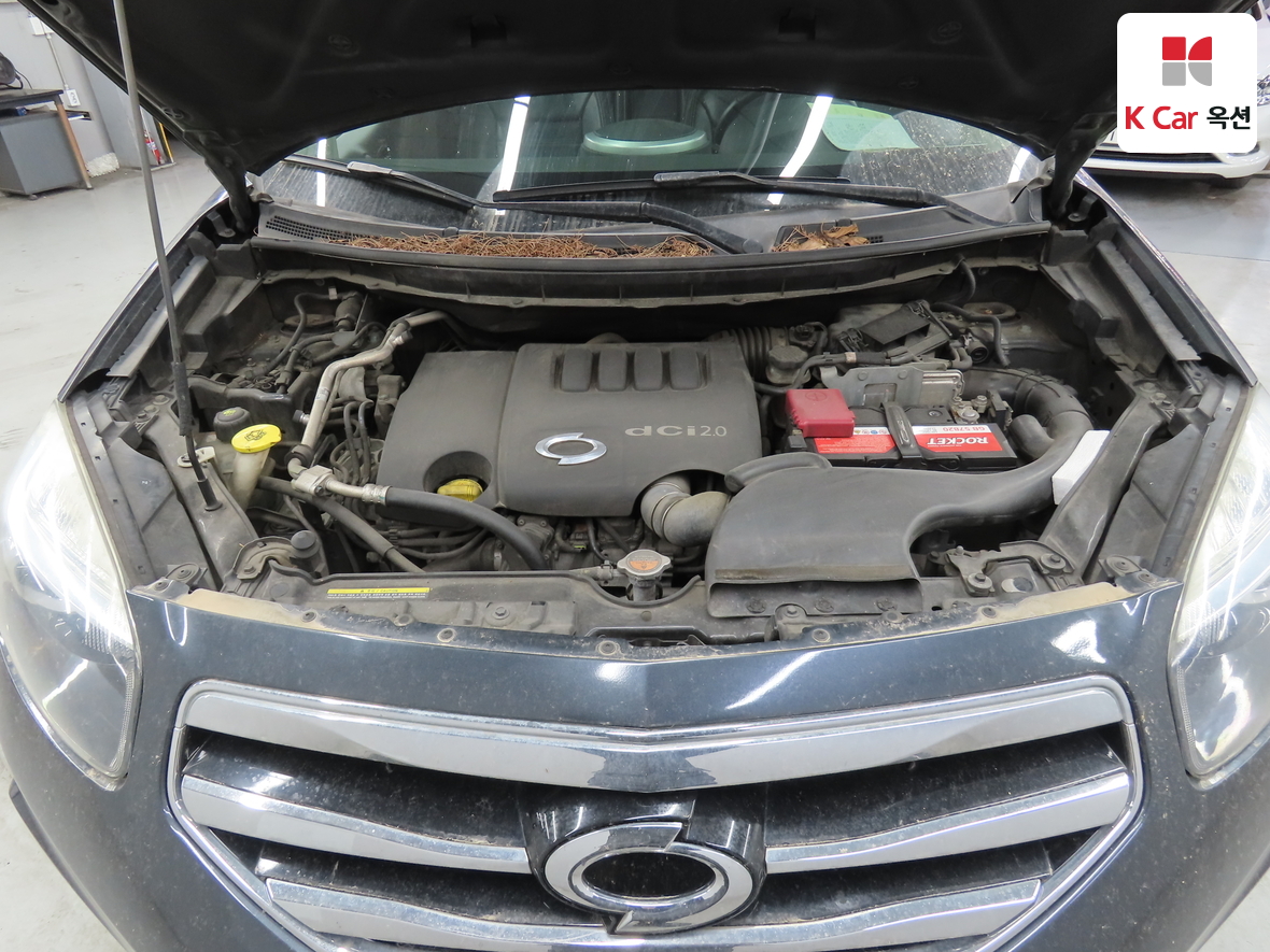 Renault Korea QM5 - 35