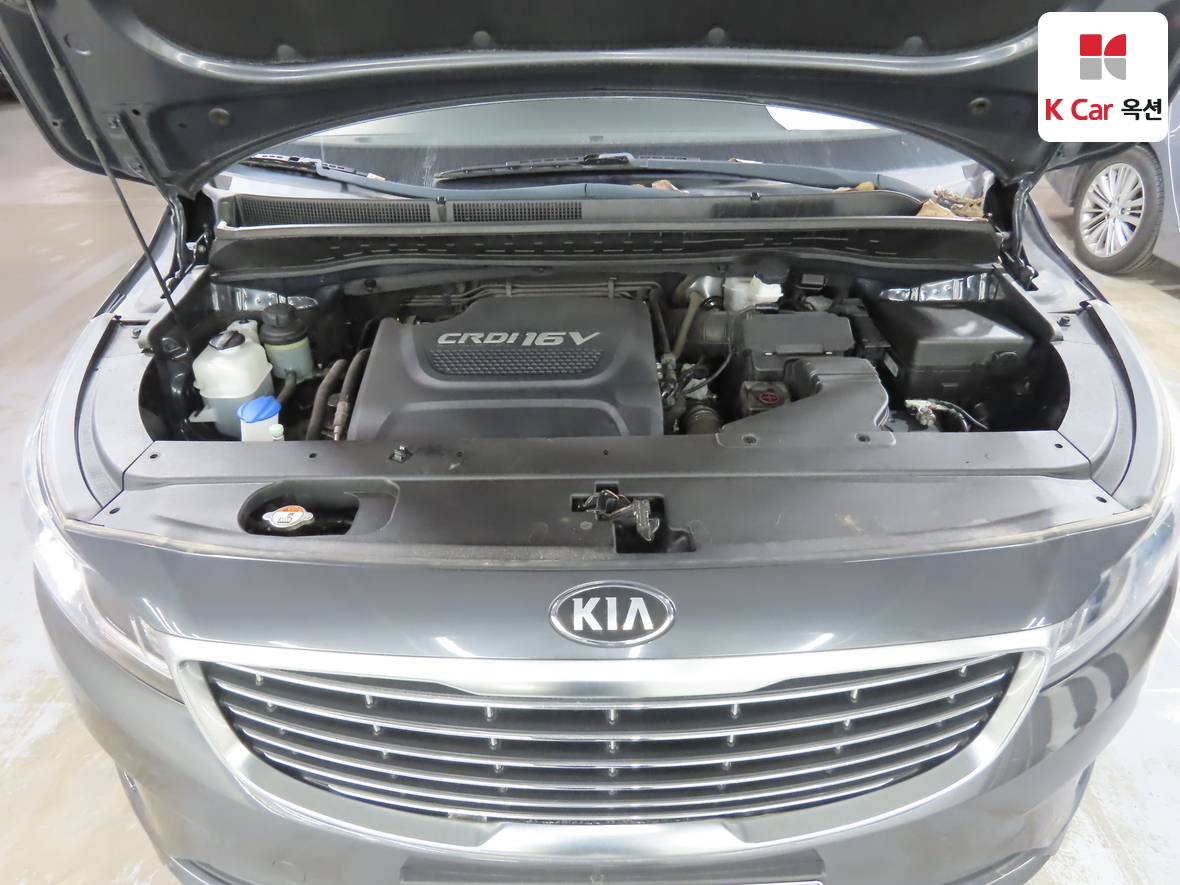 Kia New Carnival - 30