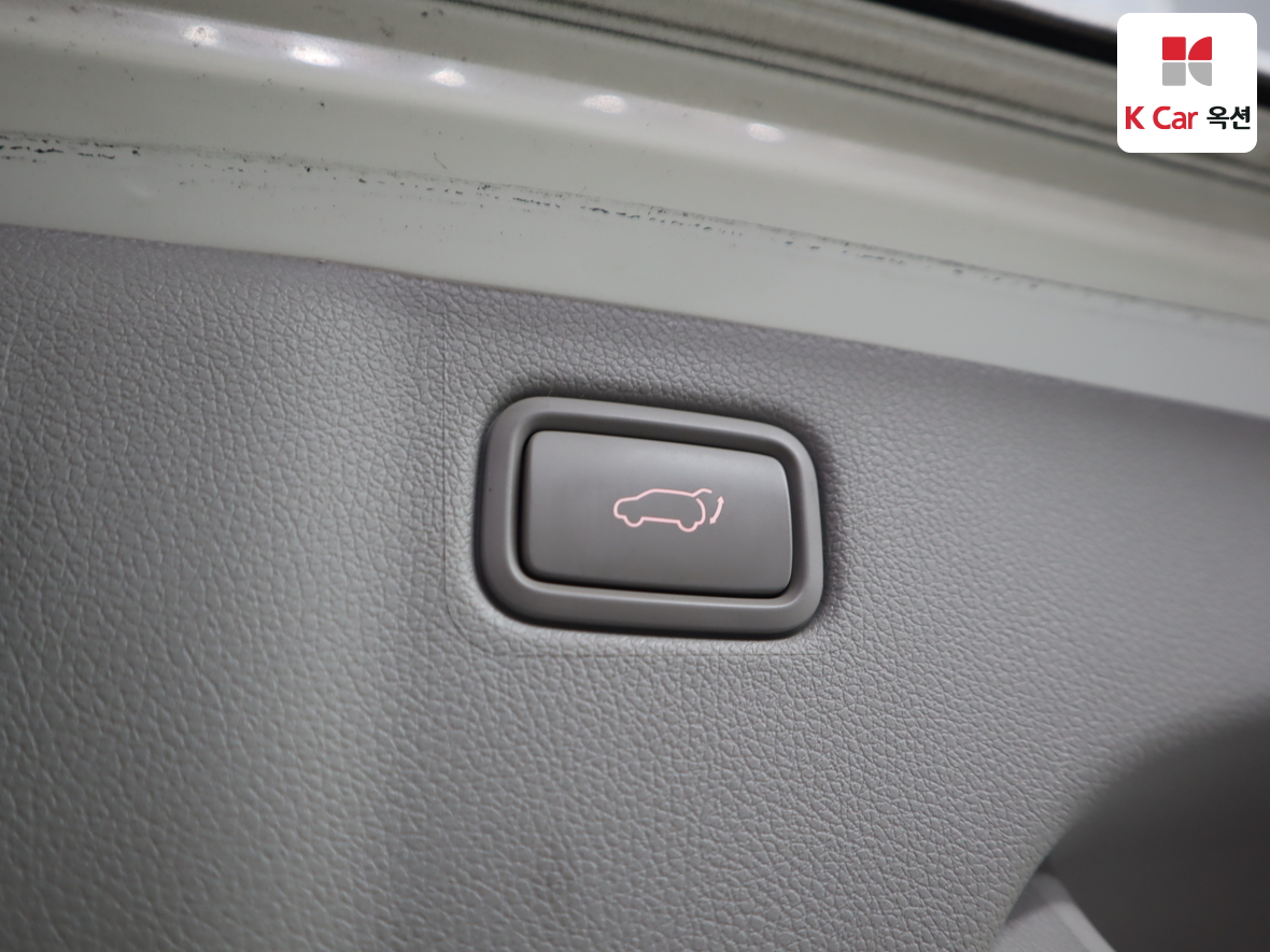 Kia New Carnival - 27