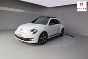Volkswagen The Beetle