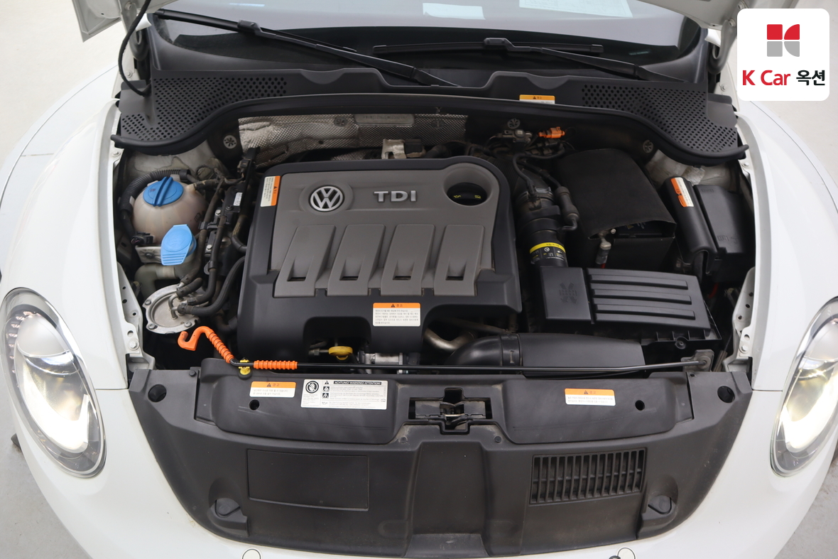 Volkswagen The Beetle - 31