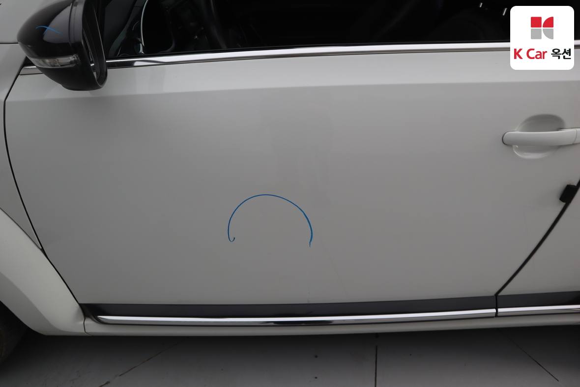 Volkswagen The Beetle - 39