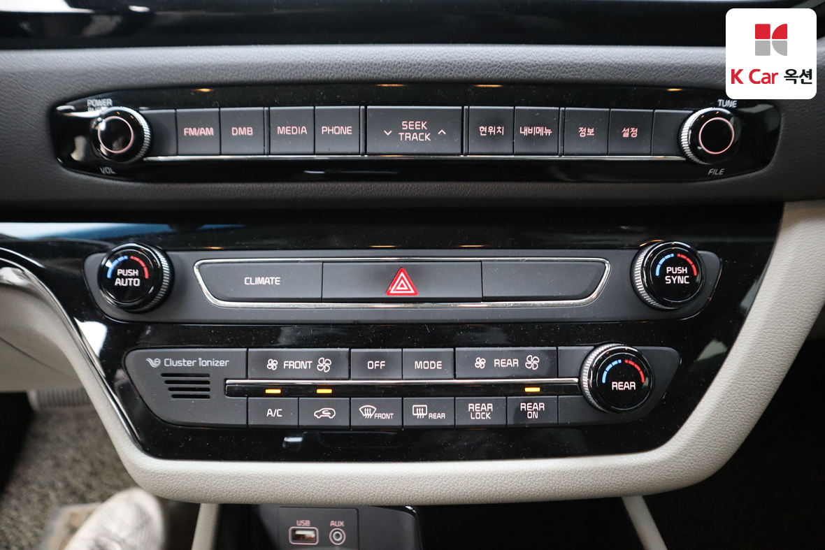 Kia New Carnival - 15