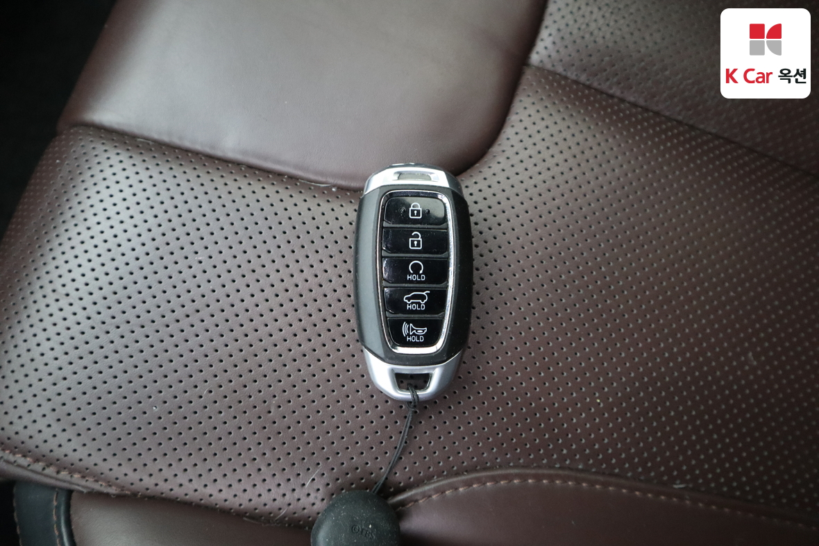 Hyundai Santa Fe - 18
