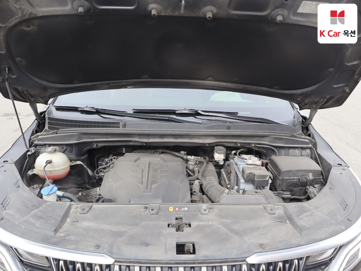 Kia Carnival - 33