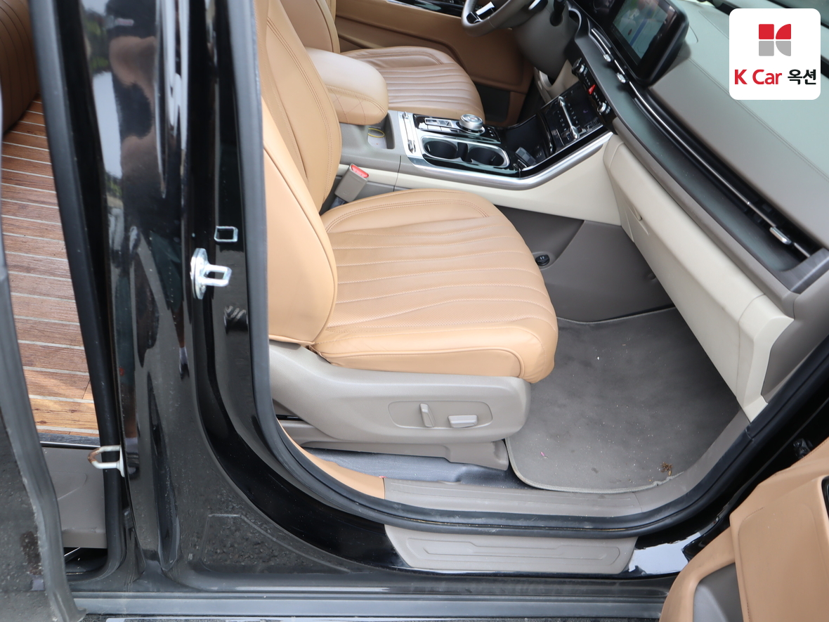Kia Carnival - 29