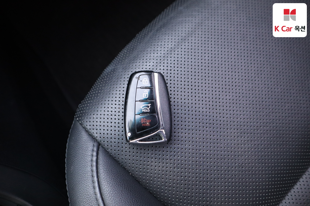 Hyundai Santa Fe - 16