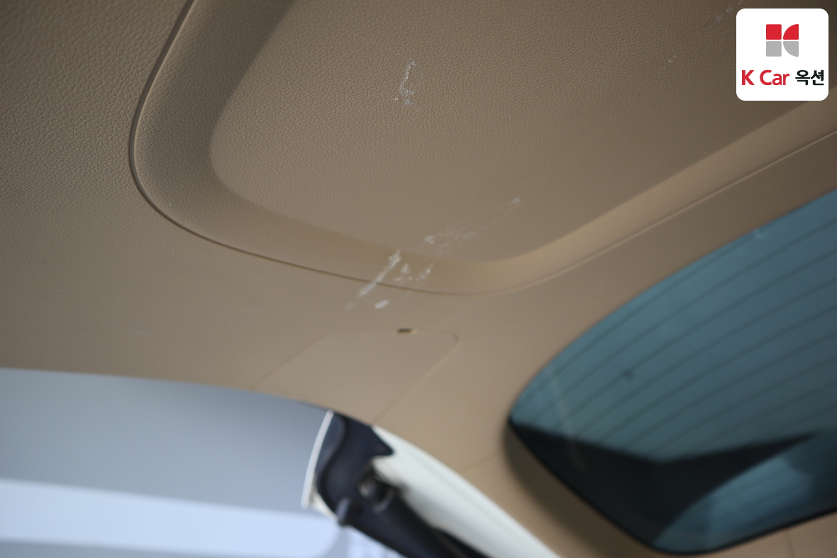 Kia New Carnival - 31